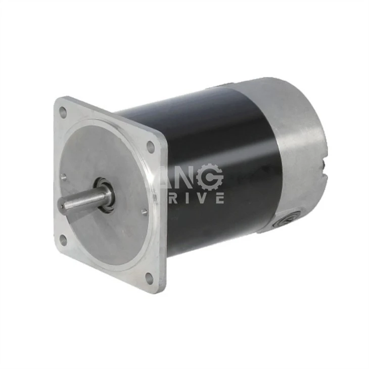 dc pm motor