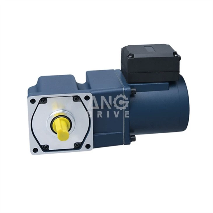 tenv gear motor