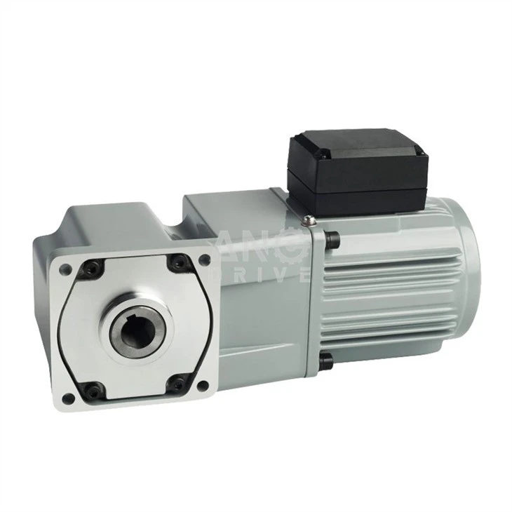 AC right angle hollow shaft gear motor