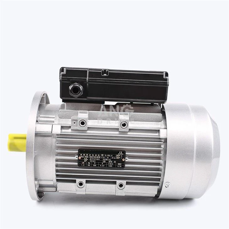 electric motor